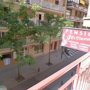  Pensión El Ciervo